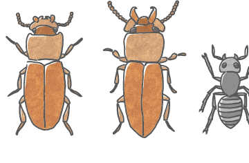 しなやかに、したたかに、たくましく 「ぼくらはみんな生きている!」