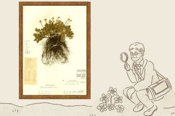 牧野標本にあふれる情熱とエネルギーに学問の本質を見る