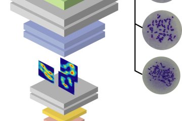 阿部拓也助教、大久保寛准教授、西川清史教授の論文がEurekAlertに掲載されました!