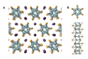 中西勇介助教、宮田耕充准教授の論文成果がEurekAlert!に掲載されました。