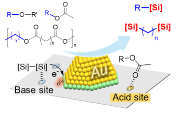 三浦大樹准教授の論文がEurekAlert!に掲載されました。