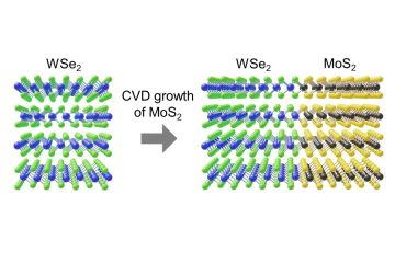 宮田准教授の論文成果がEurekAlert!に掲載されました。