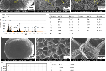 川東教授の論文がEurekAlert!に掲載されました。