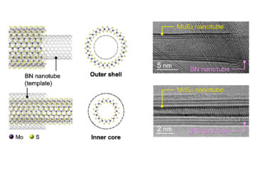 中西助教の論文がEurekAlert!に掲載されました。