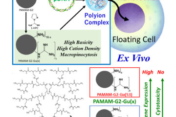 朝山教授の論文がEurekAlert!に掲載されました。