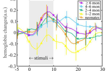 渕野助教の論文がEurekAlert!に掲載されました。
