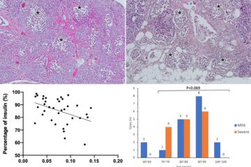 易教授の論文がEurekAlert!に掲載されました。