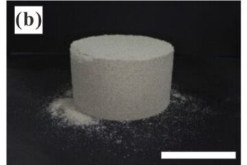 栗田教授の論文がEurekAlert!に掲載されました。