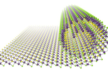 宮田准教授の論文がEurekAlert!に掲載されました。