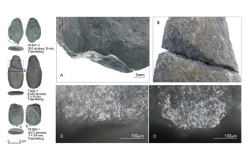 岩瀨助教の論文がEurekAlert!に掲載されました。