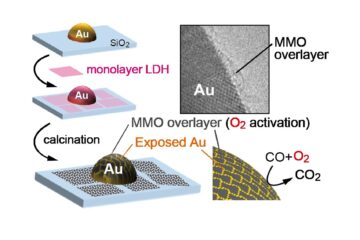 石田准教授の論文がEurekAlert!に掲載されました。