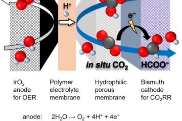 天野教授の論文がEurekAlert!に掲載されました。
