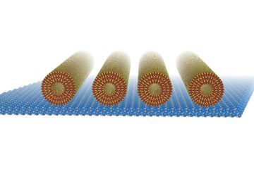 柳教授の論文がEurekAlert!に掲載されました。