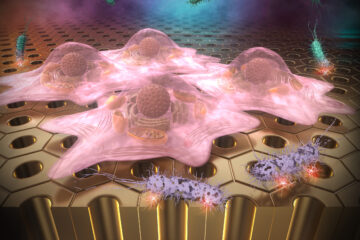 柳下教授の論文がEurekAlert!に掲載されました。