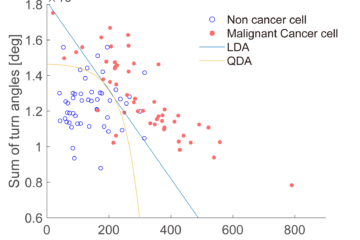 三好教授の論文がEurekAlert!に掲載されました。