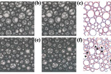 栗田教授の論文がEurekAlert！に掲載されました。