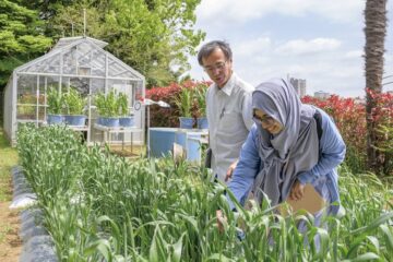 植物の可能性を拡げる「顕微授精法」ー環境変化に強い作物開発への挑戦