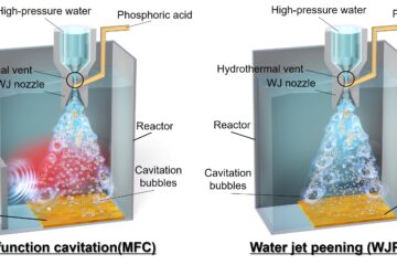 井尻助教の論文がEurekAlert!に掲載されました。