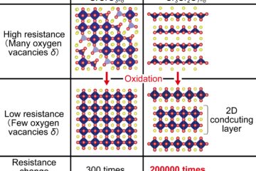 岡准教授の論文がEurekAlert!に掲載されました。