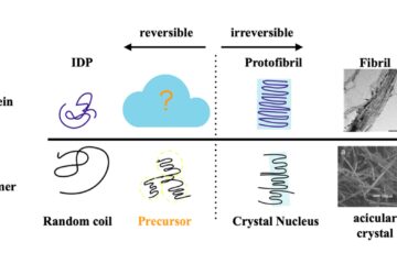 栗田教授の論文がEurekAlert!に掲載されました。