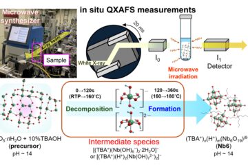 山添 教授の論文がEurekAlert!に掲載されました。